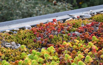 the cost of Bloodmans Corner green roof installation
