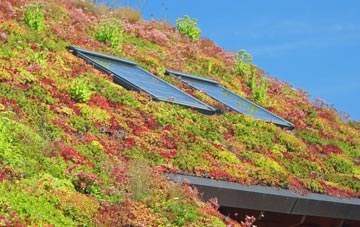 Bloodmans Corner living roof systems